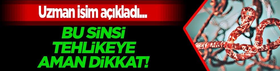 Sinsi tehlikeye dikkat: Bağırsak kurtları çocuğunuz için tehlike arz ediyor...