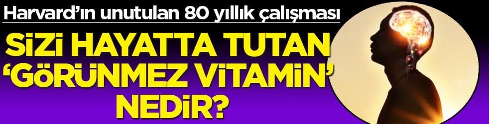 Sırrı çözüldü: Harvard’ın unutulan 80 yıllık çalışması: Sizi hayatta tutan 'görünmez vitamin' nedir?