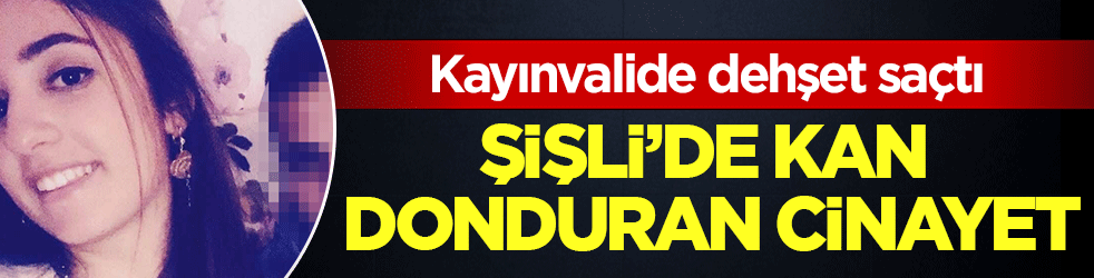 Şişli’de kan donduran cinayet: Kayınvalide dehşet saçtı!