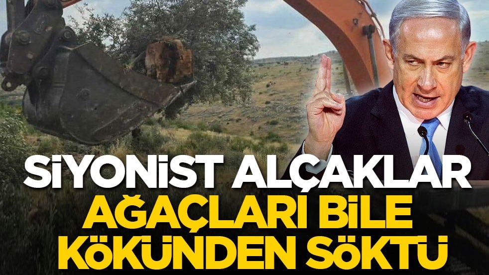 Siyonist alçaklar ağaçları bile kökünden söktü