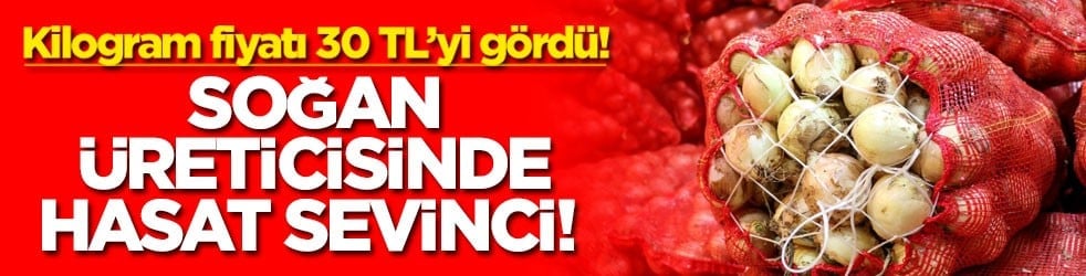 Soğan üreticisinde hasat sevinci! Kilogram fiyatı 30 TL’yi gördü