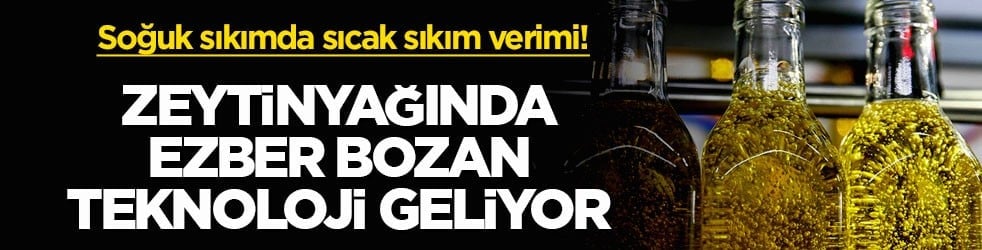 Soğuk sıkımda sıcak sıkım verimi! Zeytinyağında ezber bozan teknoloji geliyor
