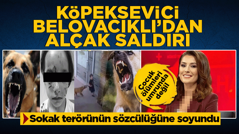 Sokak terörünün sözcülüğüne soyundu! Köpeksevici Belovacıklı’dan vahşeti görmezden gelen alçaklık! Çocuk ölümleri umrunda değil