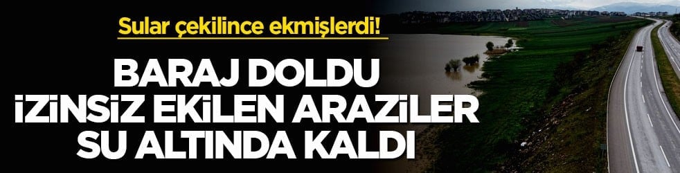 Sular çekilince ekmişlerdi! Baraj doldu, izinsiz ekilen araziler su altında kaldı