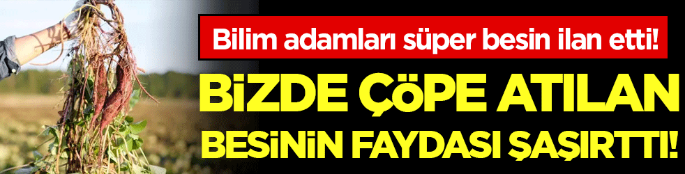 Süper besin ilan ettiler! Bizde çöpe atılan yaprağın faydası şaşırttı!