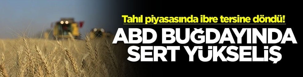 Tahıl piyasasında ibre tersine döndü! ABD buğdayında sert yükseliş
