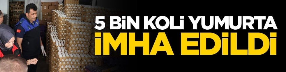 Tam 5 bin koli... On binlerce yumurta imha edildi!