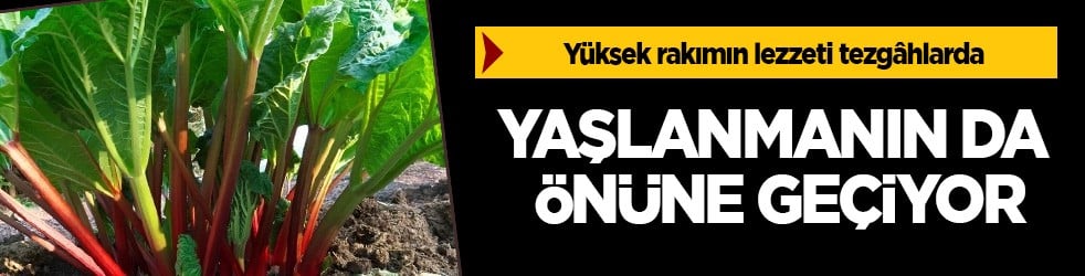 Tam bir mucize gibi! Diyarbakır'da tezgâhlara indi! Çok ama çok şaşıracaksınız