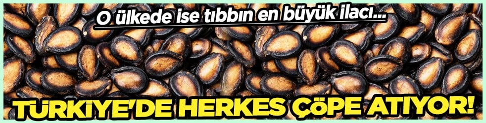 Tam bir şifa deposu: Türkiye'de herkes çöpe atıyor! Çin tıbbında yazın ilacı