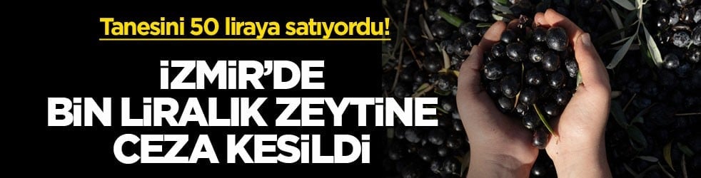 Tanesini 50 liraya satıyordu! İzmir’de bin liralık zeytine ceza kesildi