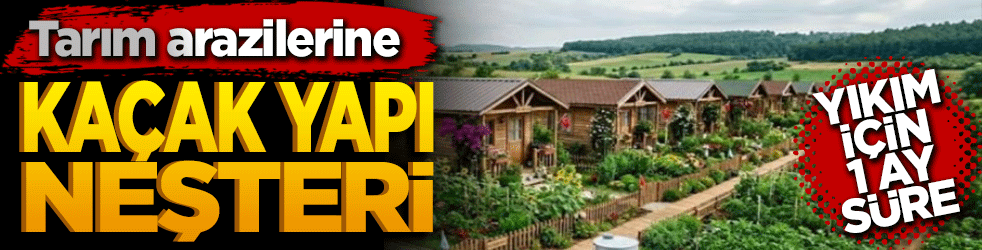Tarım arazilerine kaçak yapı neşteri: Yıkım için 1 ay süre!