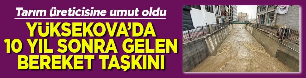 Tarım üreticisine umut oldu Yüksekova'da 10 yıl sonra gelen bereket taşkını