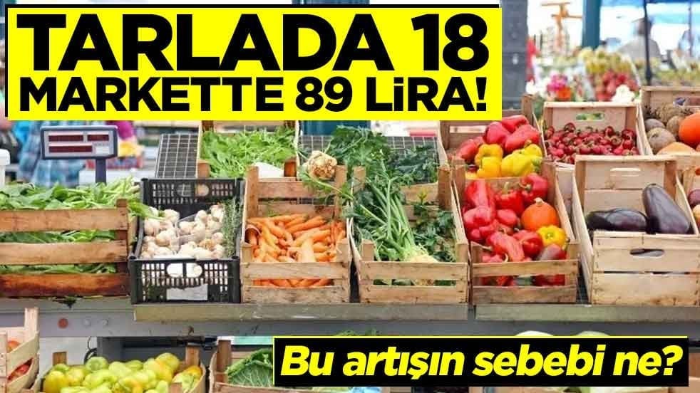 Tarla - market fiyat farkında rekor! Bu artışın sebebi ne?