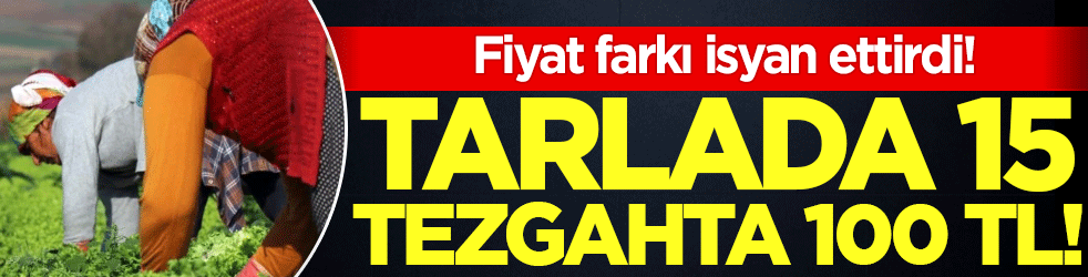Tarlada 15, tezgahta 100 lira! Fiyat farkı isyan ettirdi!