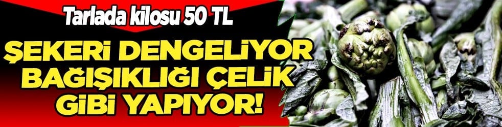 Tarlada kilosu sadece 50 TL: ‘Yeşil elmas’ diyorlar! Enginar bağışıklığı çelik gibi yapıyor...