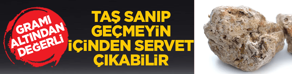 Taş sanıp geçmeyin, içinden servet çıkabilir: Gramı altından değerli! Sahilde bu gri parçayı gören köşeyi dönüyor