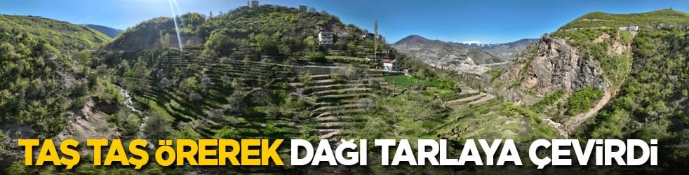 Taş taş örerek dağı tarlaya çevirdi 