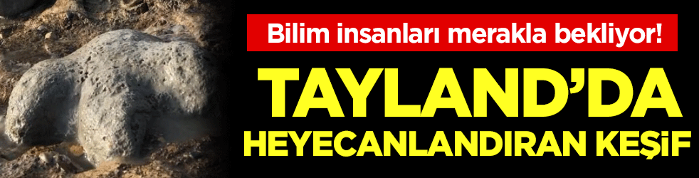 Tayland'da heyecanlandıran keşif! Bilim insanları merakla bekliyor!