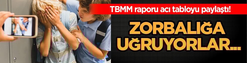 TBMM raporu acı tabloyu ortaya çıkardı: Her 7 çocuktan biri zorbalık mağduru... Dijital bir saldırı var