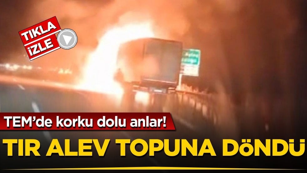 TEM’de korku dolu anlar! Tır alev topuna döndü