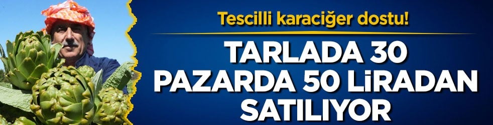 Tescilli karaciğer dostu! Tarlada 30, pazarda 50 liradan satılıyor