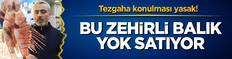 Tezgaha konulması yasak! Bu zehirli balık yok satıyor