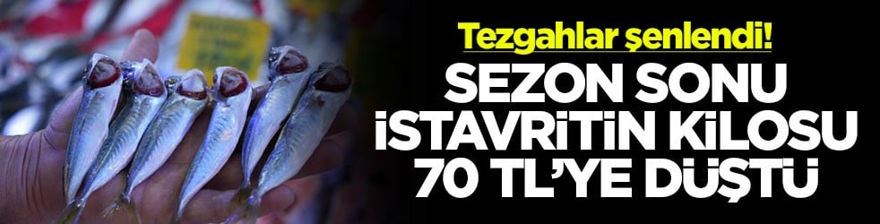 Tezgahlar şenlendi! Sezon sonu istavritin kilosu 70 TL'ye düştü