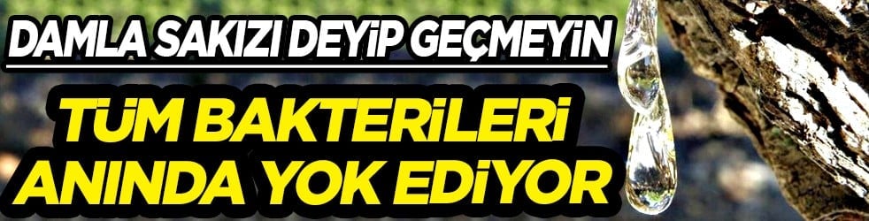 Tıbbi alanda önemi yok gibi duruyor ama gerçekte... Damla Sakızı Faydaları Nelerdir?