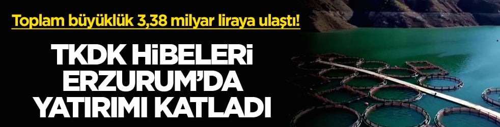 Toplam büyüklük 3,38 milyar liraya ulaştı! TKDK hibeleri Erzurum’da yatırımı katladı