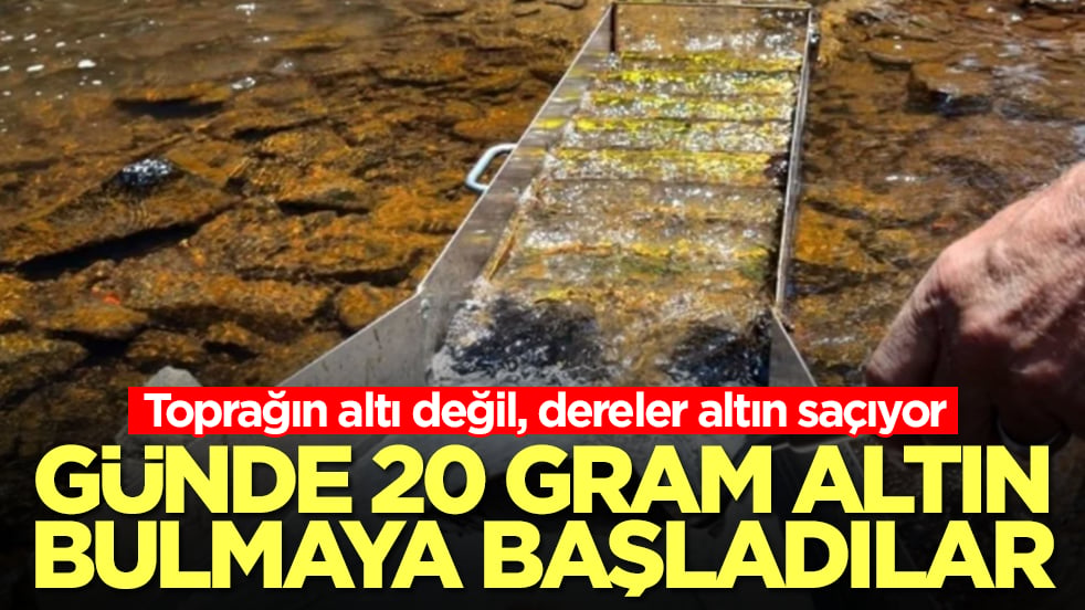 Toprağın altı değil, dereler altın saçıyor: Günde 20 gram altın bulmaya başladılar