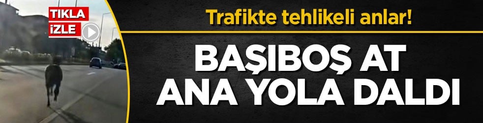 Trafikte tehlikeli anlar! Başıboş at ana yola daldı
