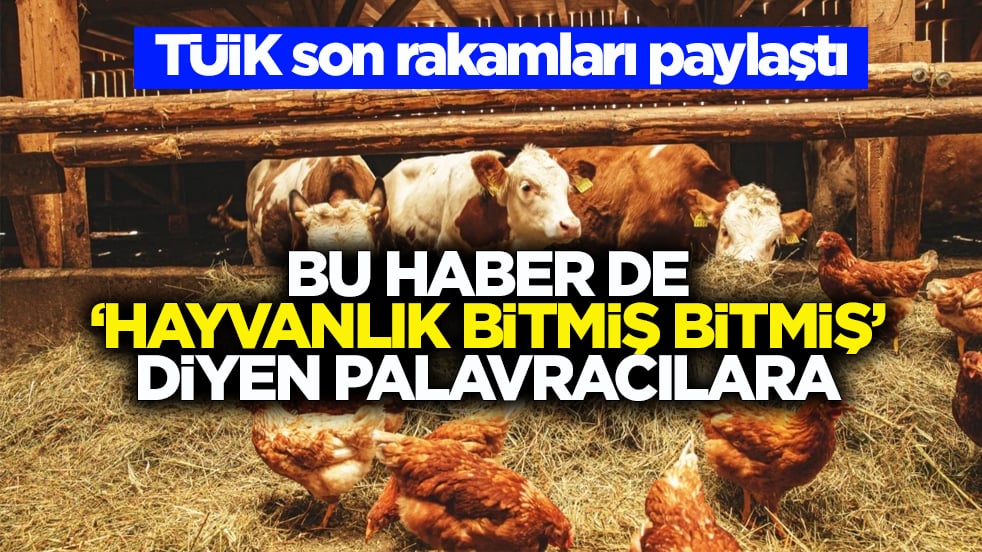 TÜİK son rakamları paylaştı! bu haber de ‘hayvanlık bitmiş bitmiş’ diyen palavracılara
