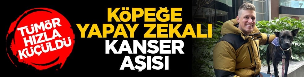 Tümör hızla küçüldü: Köpeğe yapay zekalı kanser aşısı