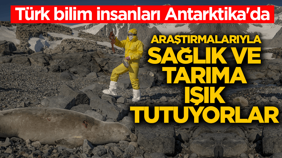 Türk bilim insanları Antarktika'da! Araştırmalarıyla sağlık ve tarıma ışık tutuyorlar