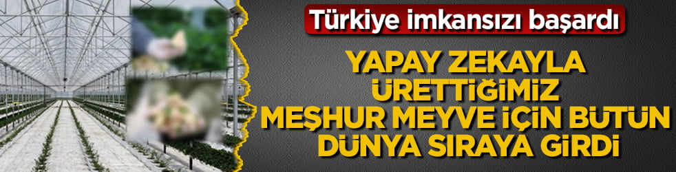 Türkiye imkansızı başardı! Yapay zekayla ürettiğimiz meşhur meyve için bütün dünya sıraya girdi