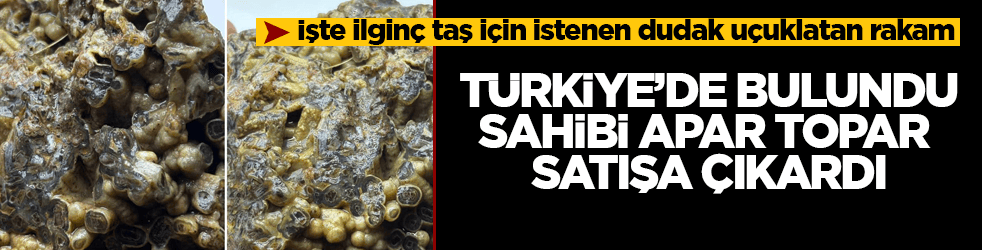 Türkiye’de bulundu, sahibi apar topar satışa çıkardı! İşte ilginç taş için istenen dudak uçuklatan rakam