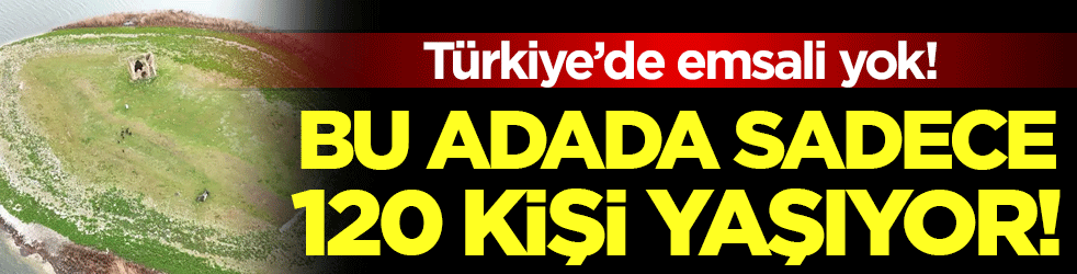 Türkiye'de emsali yok: Bu adada 120 kişi yaşıyor!