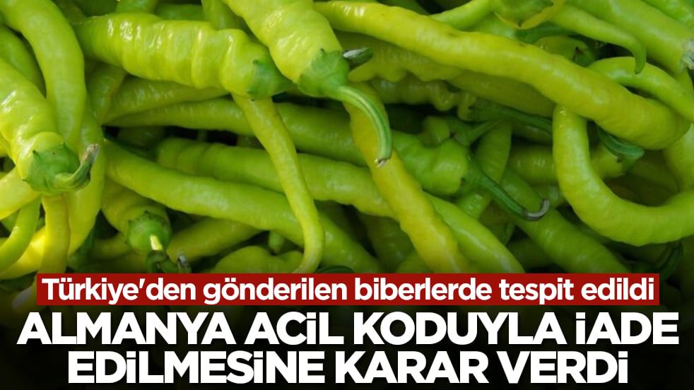Türkiye'den gönderilen biberlerde tespit edildi: Almanya acil koduyla iade edilmesine karar verdi