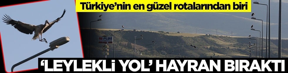 Türkiye'nin en güzel rotalarından... 