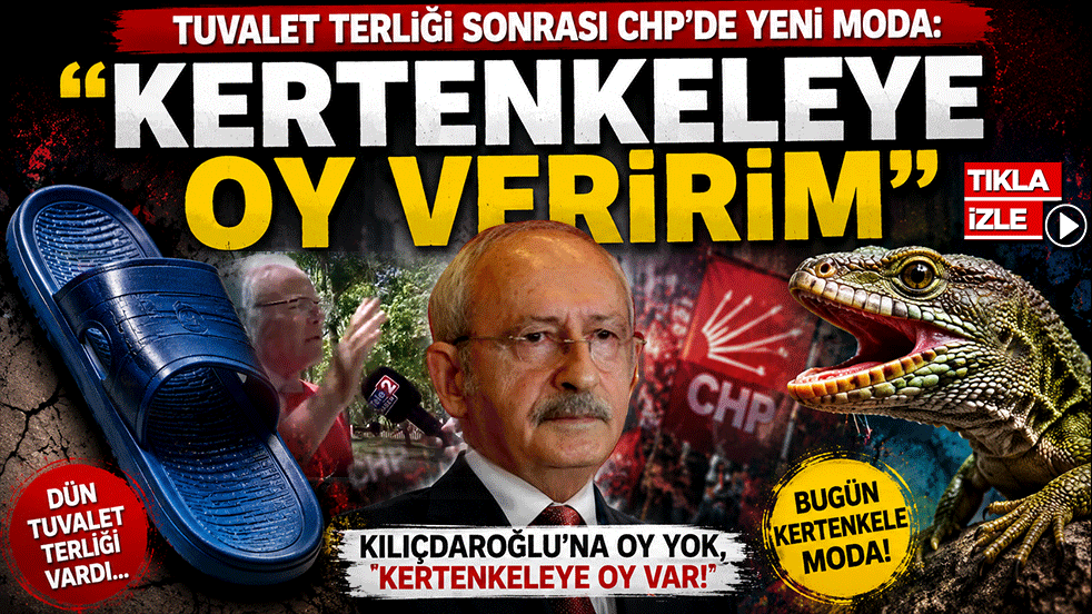 Tuvalet terliği sonrası CHP'de yeni moda: "Kertenkeleye oy veririm"