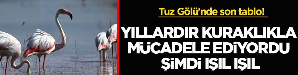 Tuz Gölü'nde son tablo! Yıllardır kuraklıkla mücadele ediyordu şimdi ışıl ışıl
