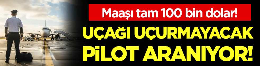 Uçağı uçurmayacak pilot arıyorlar: Maaşı tam 100 bin dolar!