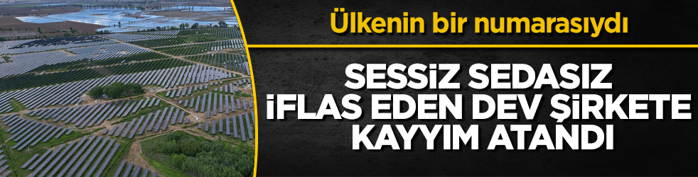 Ülkenin bir numarasıydı! Sessiz sedasız iflas eden dev şirkete kayyım atandı