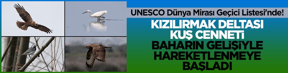 UNESCO Dünya Mirası Geçici Listesi'nde! Kızılırmak Deltası’nda şimdi bahar zamanı