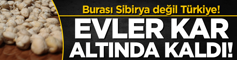 Üreticiye müjdeli haber: Yüksek sıcaklığa dayanabiliyor!