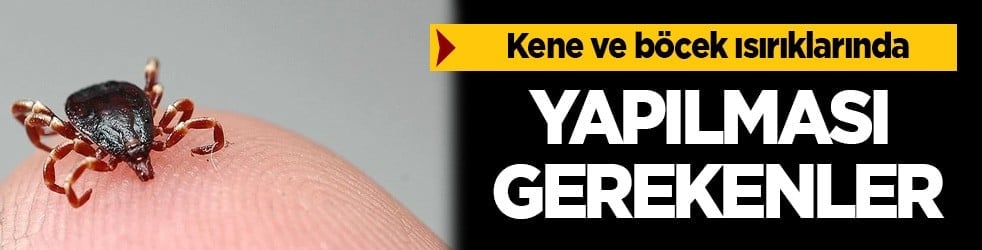 Uzman isim kene ve böcek ısırıkları için öyle bir tavsiye verdi ki... Kritik uyarı: Yapılan hata bu uyarısı yaptı