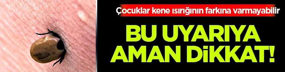 Uzman isim net konuştu: Çocuklar kene ısırığının farkına varmayabilir