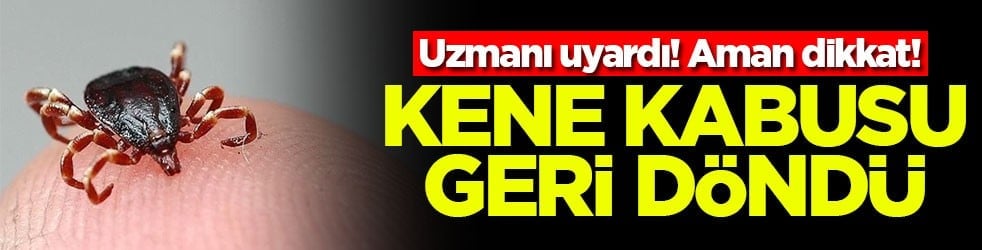 Uzmanı uyardı! Aman dikkat! Kene kabusu geri döndü