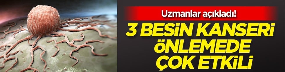 Uzmanlar açıkladı: Kansere düşman 3 besin kanseri önlemede çok etkili! Yerle bir ediyor, adeta zırhlı savunma 
