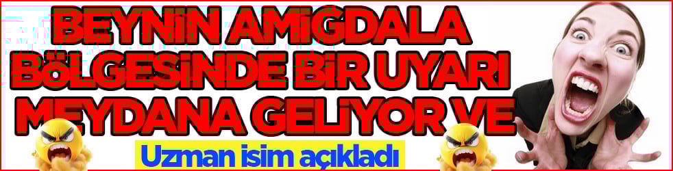 Uzmanlar uyarıyor: Beynin amigdala bölgesinde bir uyarı meydana geliyor... Bu çağrıya kayıtsız kalmayın